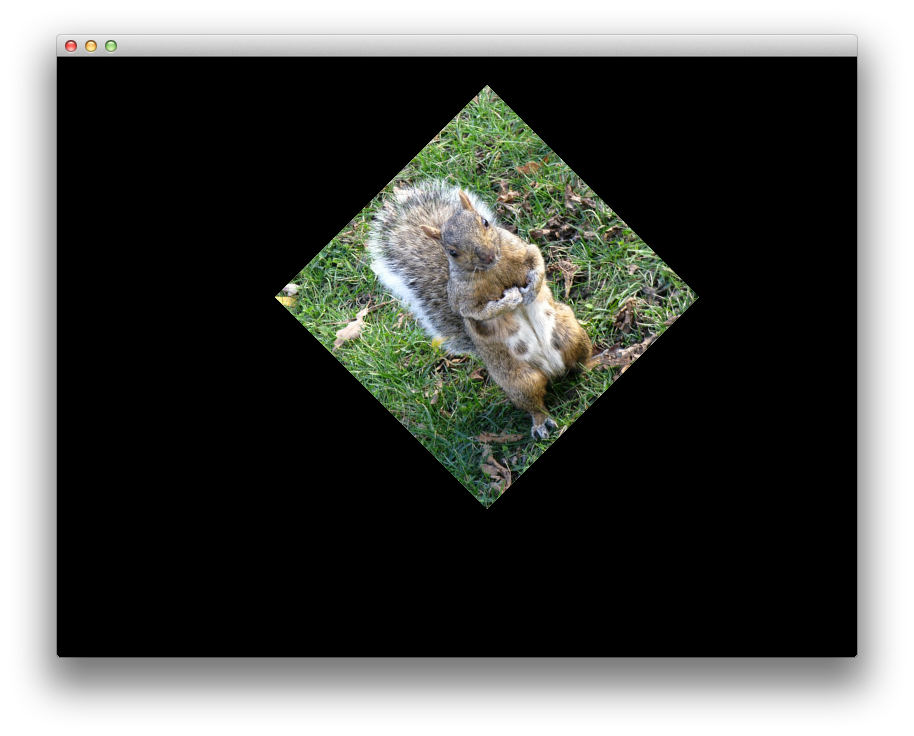 Squirell image combined translation and rotation transforms