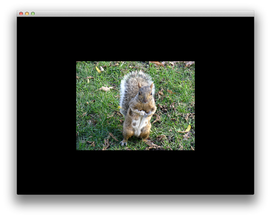 Squirell texture on quad