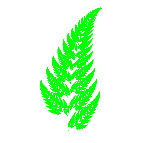 Barnsley Fern