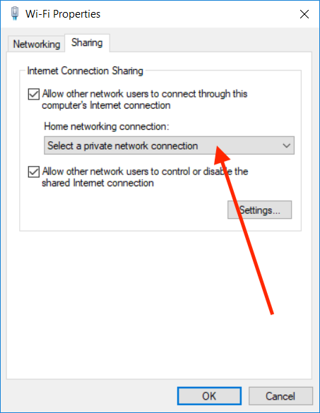 Raspberri Pi Zero share Internet through USB on Windows